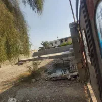 اجاره زمین ایسین|اجارهٔ دفتر صنعتی، کشاورزی، تجاری|بندرعباس, |دیوار