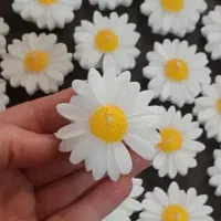 شمع گل بابونه معلق روی آب