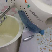 همزن کاسه دار|خردکن، آسیاب، غذاساز|همدان, |دیوار