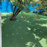 فروش ویژه تمامی محصولات چمنی|خدمات باغبانی و درختکاری|چهاردانگه (تهران), |دیوار