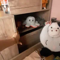 تخت ۲طبقه|تخت و صندلی بچه|هشتگرد, شهرک ایران خودرو|دیوار