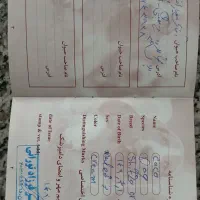 فروش سگ خانگی|سگ|شاهرود, |دیوار