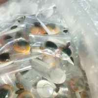 ساحلی و حدید و مهره|کلکسیون اشیاء عتیقه|ری, سیزده آبان|دیوار