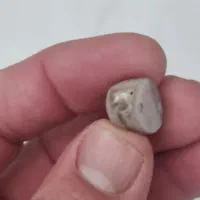 نگین زیبا و عتیقه خوش رنگ|کلکسیون اشیاء عتیقه|پرند, فاز ۳|دیوار