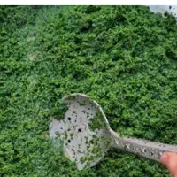 فروش انواع سبزی اماده با قیمت مناسب|خوردنی و آشامیدنی|اهواز, کوی مندلی(سه راه خرمشهر)|دیوار