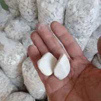 سنگ رنگی،شن رنگی|عمدهفروشی|تهران, جی|دیوار