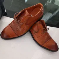 کفش مجلسی