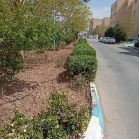 استخدام نیروی کار خدماتی