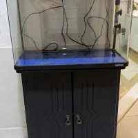 آکواریوم شیشه خم ماهیران