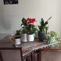 نیازمند یک خانم جهت امور منزل