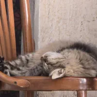 ادمین ، تولید محتوا ، آموزش برای کسب و کار ،عکاسی|خدمات رایانه‌ای و موبایل|اصفهان, نقش جهان|دیوار