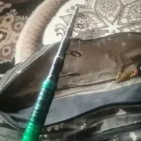 لنسر ماهی گیری|ماهیگیری|اشنویه, |دیوار