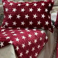 پلیسه بابونه و ستاره