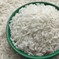 برنج ممتاز طارم هاشمی مازندران