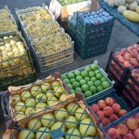 فروش انواع میوه و صیفیجات