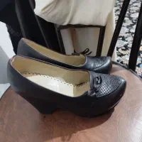 کفشهای در حد نو اسپرت 300و مجلسی صدو پنجاه هزار
