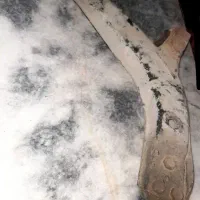 طبق سمت چپ مال ماشین دوسیلوخانواده دوو