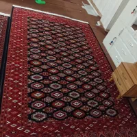 فروش فرش فوری تازه و نو|فرش|کلاله, |دیوار