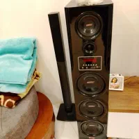 یک جفت اسپیکره فرمونی