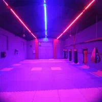 پارکور ژیمناستیک فیتنس کلیستینیکس|خدمات آموزشی|یزد, |دیوار