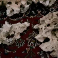 صخره اکواریوم|ماهی|چهاردانگه (تهران), |دیوار