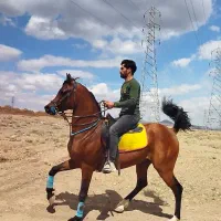 هماهنگی کشش، سیلمی دوسر