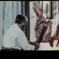 گوسفند.گتوند