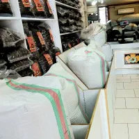 چای شکسته بهاره تولید امسال