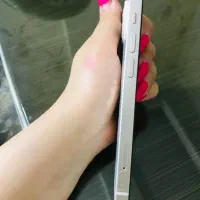 ایفون ۱۳|موبایل|تهران, مسعودیه|دیوار