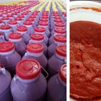 رب گوجه فرنگی