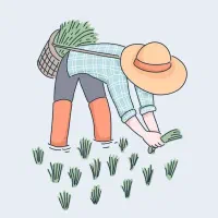 نقاشی