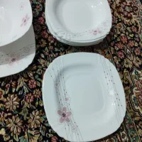 یه دست آرکوپال تکمیل|ظروف سرو و پذیرایی|سنندج, |دیوار