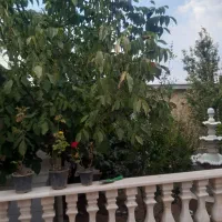 خانه-باغ