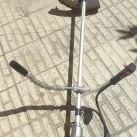 علفزن