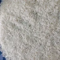 برنج هاشمی پاکوتاه