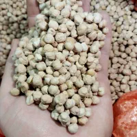 نخود کرمانشاهی *حبوبات*