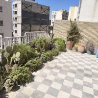 گلدان وگل طبیعی|گل و گیاه طبیعی|شیراز, چوگیاه‎|دیوار