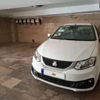 ساینادوگانه 403خشک