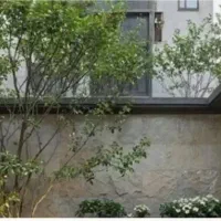 ویلایی-کیو-گلبرگ-ها-181-متر-شمالی