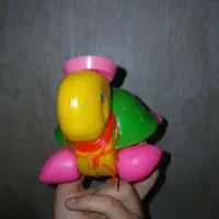 لاک پشت