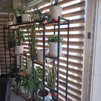 فروش مجموعه گل و گلدان و استند|گل و گیاه طبیعی|لردگان, |دیوار