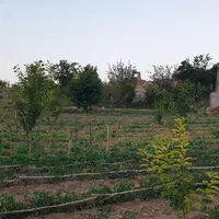 فروش باغ ۲۰۰۰ متری در روستای آلوچ،باامتیازات ویژه|فروش زمین و ملک کلنگی|مشگین شهر, |دیوار