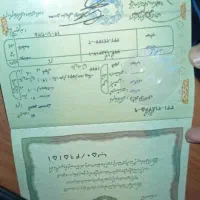 دوعددشناسنامه گم شده