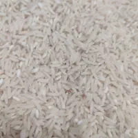 برنج هاشمی
