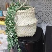 سبدحصیری|گل مصنوعی|اهواز, حصیرآباد|دیوار