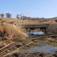 زمین کشاورزی