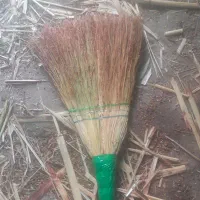 سوپورگسی میانا  همه نوع