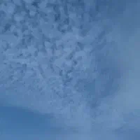 سرمایکس و رمزینکس