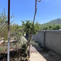 ۲ عدد ملک معاوضه|فروش آپارتمان|گرگان, |دیوار