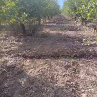 ۱۶هزار متر مربع زمین کشاورزی